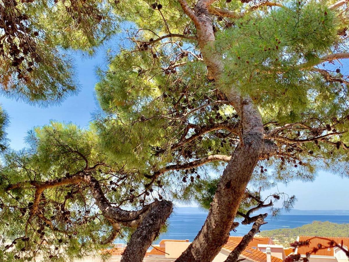 17 Pines Apartment Makarska Exterior photo